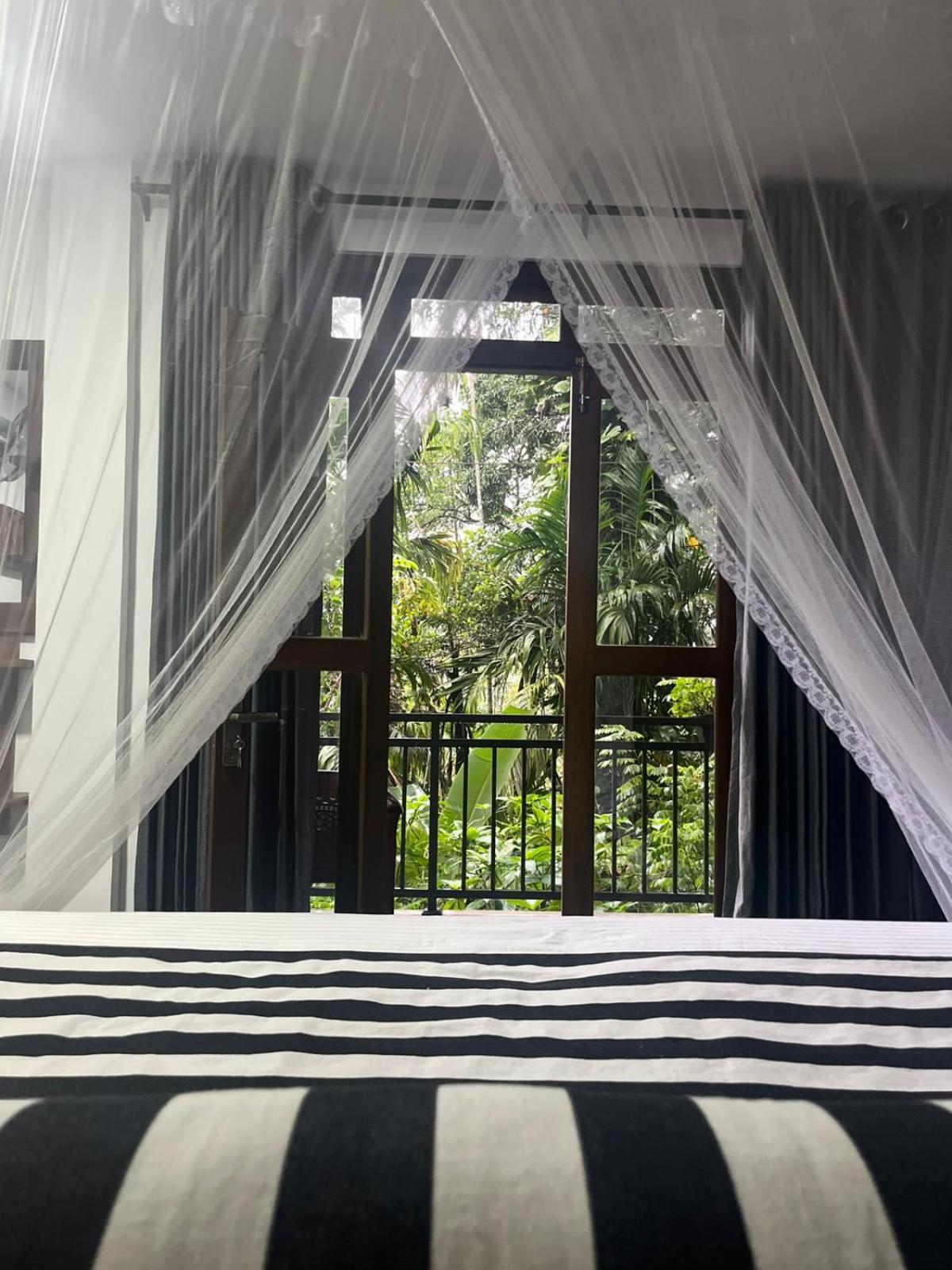 Ella Secret Paradise Room photo